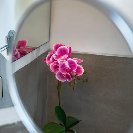 Alfonso X * Alicante